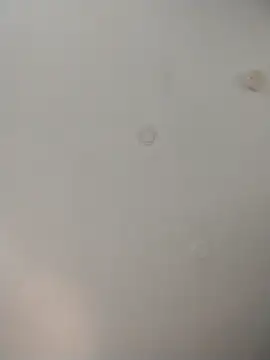 geilerschwanz64 online show from November 26, 2025, 8:21 pm