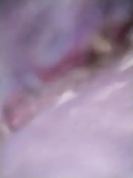 Meri-javani online show from September 8, 2025, 7:57 pm