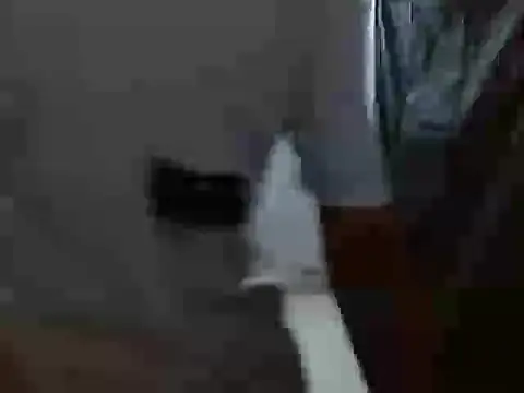 latino hotxxx online show from October 20, 2025, 11:27 pm