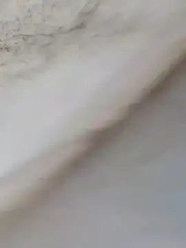 MrNick74 online show from December 22, 2025, 12:24 pm