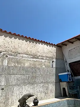 Leo bunny hot online show from September 27, 2025, 5:29 pm