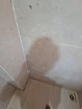 Snapshot of vivanpraj999 chatting on November 25, 2025, 4:23 am vivanpraj999 online show from November 25, 2025, 4:23 am