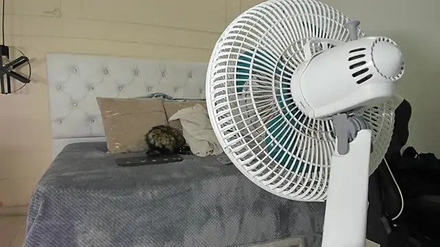 Slut Milf  online show from January 23, 2025, 10:44 pm