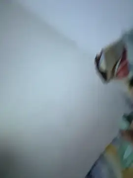 SweetBonniie online show from November 3, 2025, 12:02 am