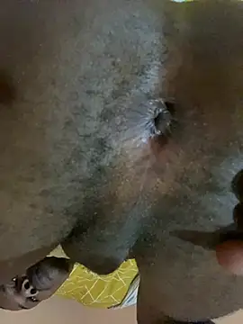 skyfall200 online show from December 20, 2024, 9:06 pm