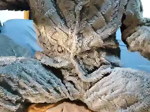 Snapshot of creamlive97 chatting on December 30, 2024, 12:42 pm creamlive97 online show from December 30, 2024, 12:42 pm