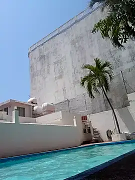 elcobin online show from March 20, 2025, 6:31 pm