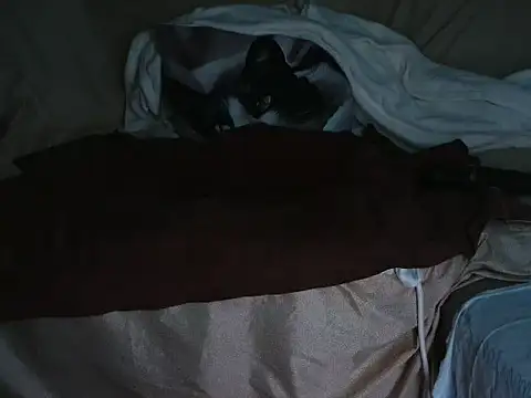 VeneRed online show from October 1, 2025, 6:47 pm