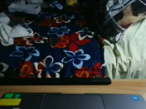 Snapshot of VeneRed chatting on May 31, 2026, 8:32 pm VeneRed online show from May 31, 2026, 8:32 pm