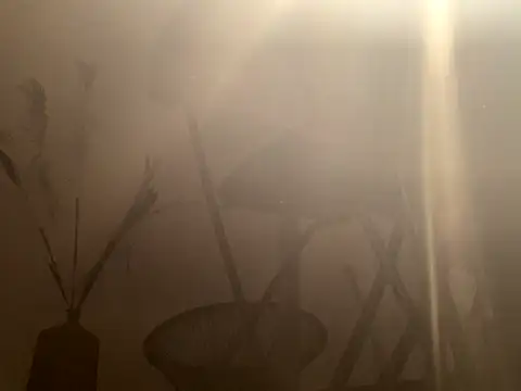 mesetti online show from December 8, 2024, 3:13 pm