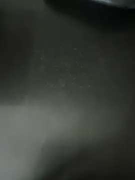 Anamika Kapoor online show from January 16, 2026, 6:23 pm