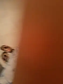 Aya germany online show from February 11, 2025, 7:05 pm