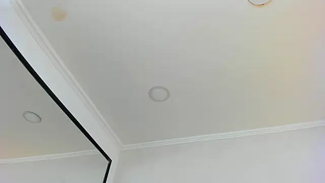 Loggan donnelly online show from March 10, 2025, 10:55 pm