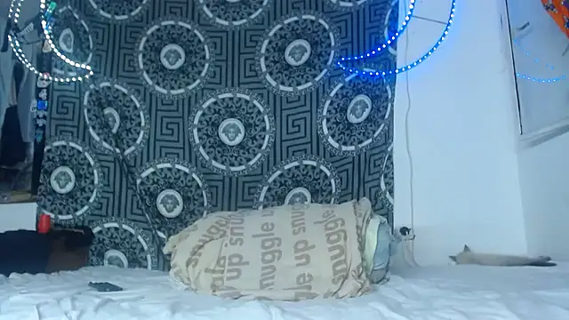 Snapshot of Adam_hard_ chatting on November 26, 2025, 11:28 pm Adam hard online show from November 26, 2025, 11:28 pm