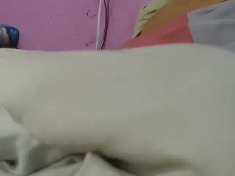 Cheliafun online show from June 29, 2026, 1:33 pm
