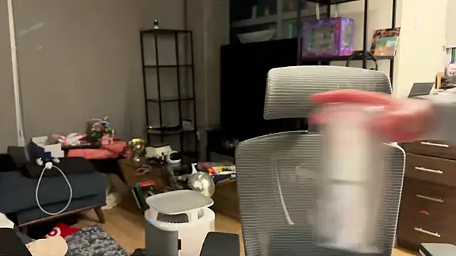 bearcloudcomputa online show from December 28, 2024, 4:41 am