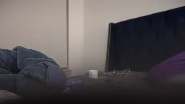 bearcloudcomputa online show from January 29, 2025, 11:56 pm