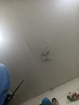 Snapshot of jeremiabello chatting on February 14, 2025, 1:02 am jeremiabello online show from February 14, 2025, 1:02 am