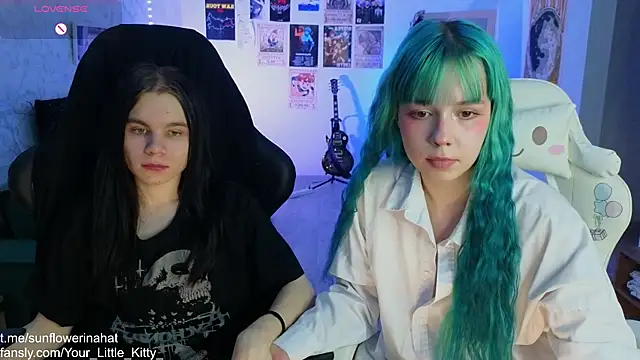 812sunflowerinahat online show from March 7, 2025, 2:23 pm