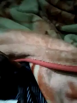 Snapshot of Antor1234 chatting on January 26, 2025, 5:02 pm Antor1234 online show from January 26, 2025, 5:02 pm