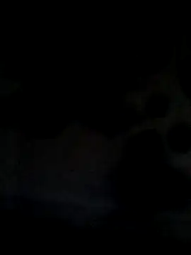 Leocesar37 online show from June 21, 2026, 5:43 am