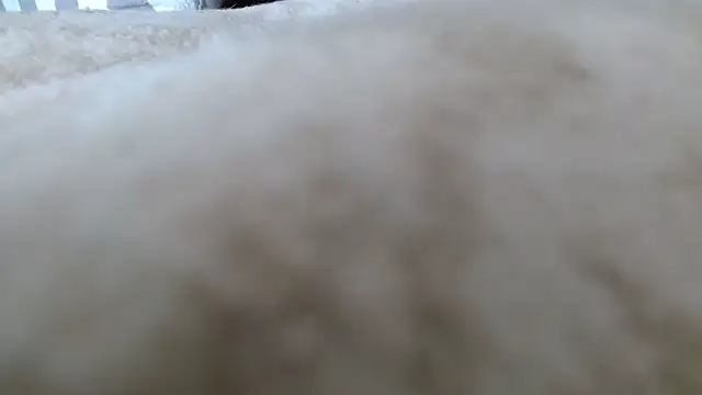 Snapshot of Heracles00 chatting on October 13, 2025, 12:49 pm Heracles00 online show from October 13, 2025, 12:49 pm