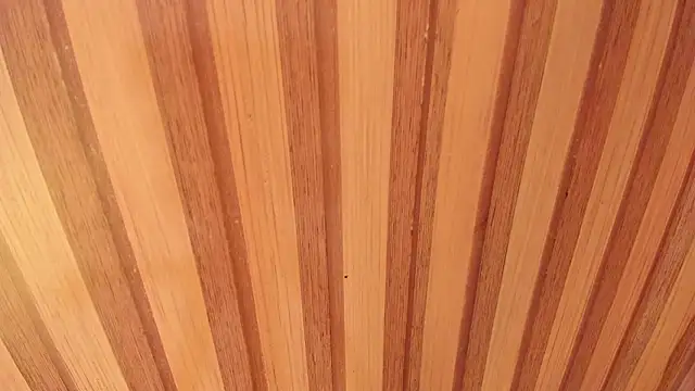 Taylor  cooper online show from February 12, 2026, 6:58 pm