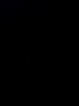 Snapshot of Desi_SexyCoupleF chatting on December 2, 2025, 4:57 pm Desi SexyCoupleF online show from December 2, 2025, 4:57 pm