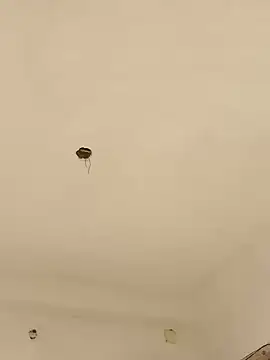 Lexi Baby  online show from December 13, 2024, 8:09 am