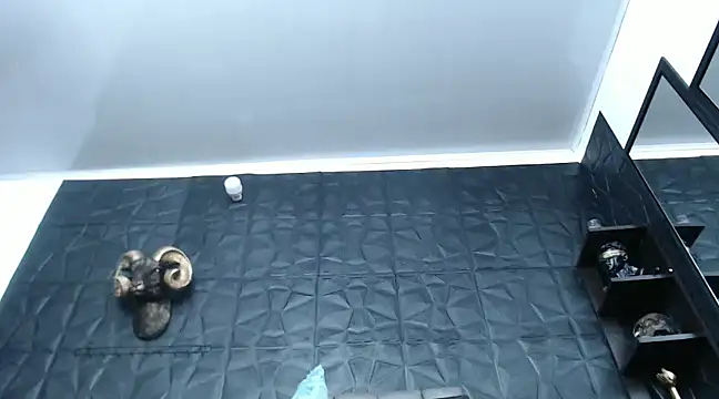 Snapshot of Hanna_Fox_69 chatting on December 29, 2024, 12:34 pm Hanna Fox 69 online show from December 29, 2024, 12:34 pm