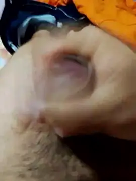 Edipaca online show from March 4, 2026, 12:55 pm