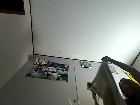 IvanaPlenty online show from February 21, 2026, 12:50 pm