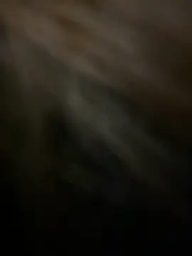 Snapshot of KitteCat chatting on January 4, 2025, 2:46 pm KitteCat online show from January 4, 2025, 2:46 pm