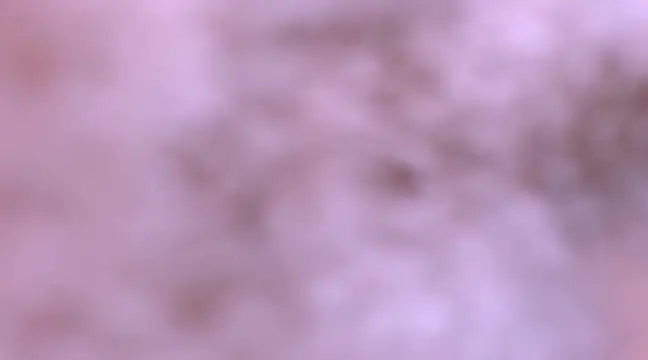 Snapshot of bubble_red chatting on February 8, 2025, 4:47 am bubble red online show from February 8, 2025, 4:47 am