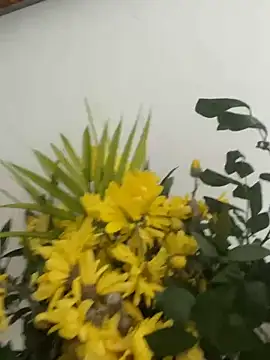 MireyaTorresGu online show from March 4, 2026, 2:23 pm