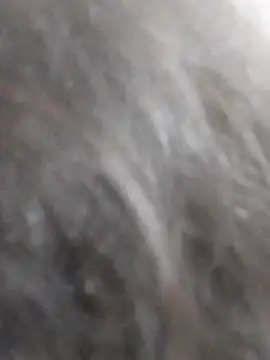 kobita Mohali online show from September 14, 2025, 8:13 am