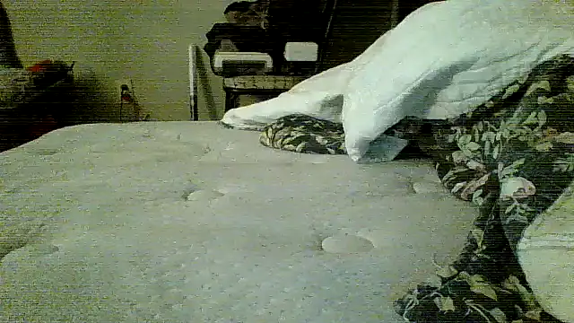 Snapshot of Jay81 chatting on January 19, 2026, 3:21 am Jay81 online show from January 19, 2026, 3:21 am