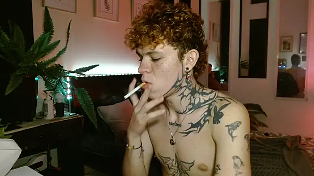Snapshot of andrewWolffman chatting on May 25, 2026, 3:12 am andrewWolffman online show from May 25, 2026, 3:12 am