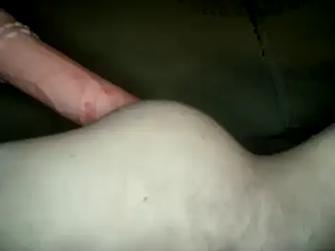 UnaDiosa online show from December 24, 2024, 10:28 pm