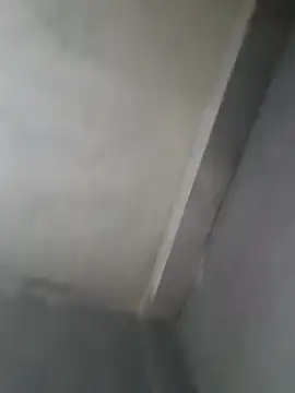 gerinwatch online show from March 8, 2026, 2:15 am