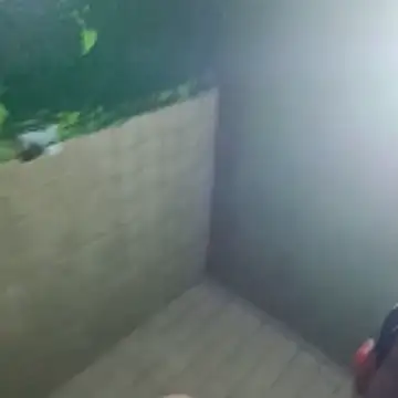 gerinwatch online show from March 10, 2026, 2:00 pm