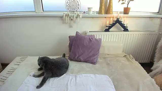 Arya Shinex online show from January 9, 2025, 8:13 am