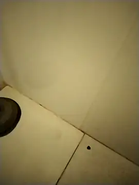 PracticalGum40 online show from December 12, 2024, 1:39 pm