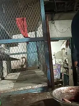 Skinny Bigass 23 online show from February 10, 2025, 2:59 pm