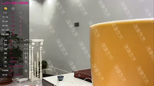 xinxin-521 online show from December 20, 2024, 7:17 pm