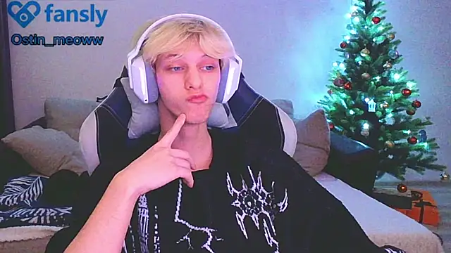 Ostin meow online show from January 12, 2025, 3:46 pm