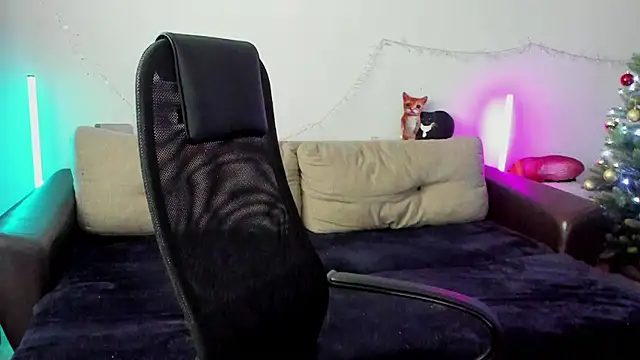 Ostin meow online show from December 19, 2025, 5:14 am