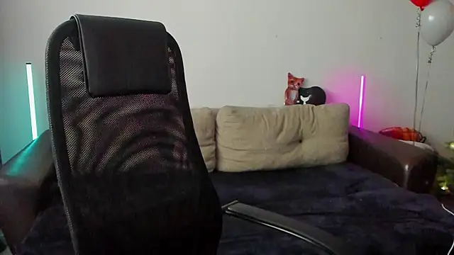 Ostin meow online show from January 14, 2026, 7:14 am