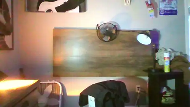 Snapshot of rickyslick123 chatting on February 8, 2026, 12:03 am rickyslick123 online show from February 8, 2026, 12:03 am