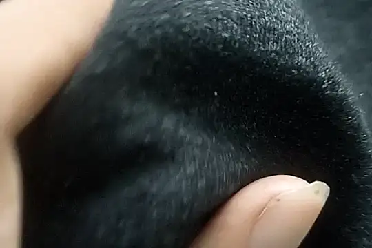 Snapshot of Telugu_sollakaya chatting on December 2, 2024, 6:43 pm Telugu sollakaya online show from December 2, 2024, 6:43 pm